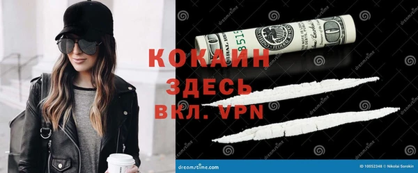 ешки Гусев