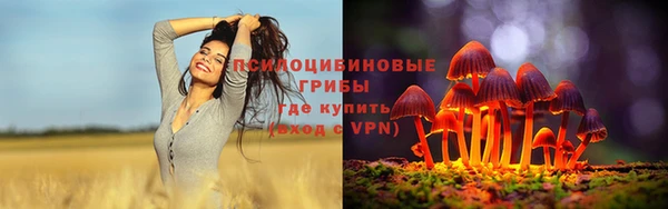 альфа пвп VHQ Гусиноозёрск