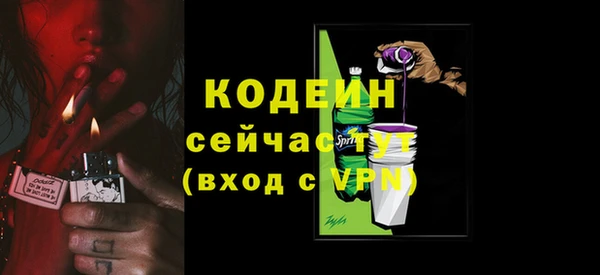 ешки Гусев