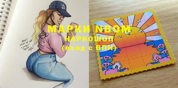 мдпв Новозыбков