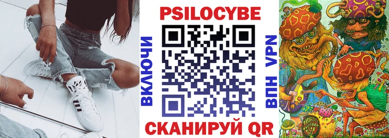 гидра как зайти  Павловск  Галлюциногенные грибы Psilocybine cubensis 