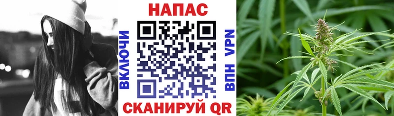 Бошки Шишки сатива блэк спрут ONION Павловск